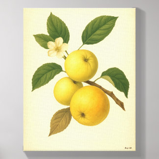 Eve and Sofie Yellow Apple Canvas Photo Tile