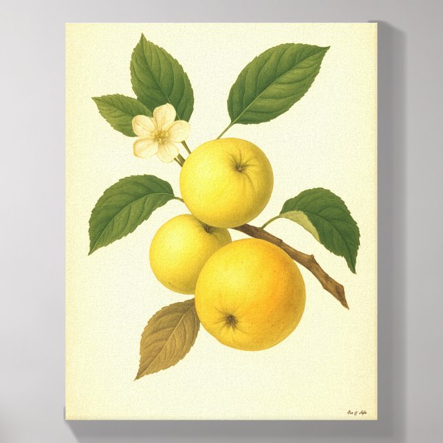 Eve and Sofie Yellow Apple Canvas Photo Tile (Front Set)