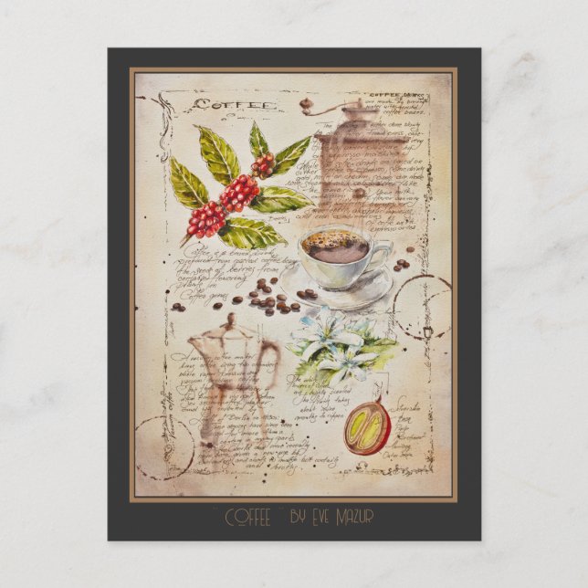 EVE Painted Coffee Botanical Illustration        Postcard (Front)