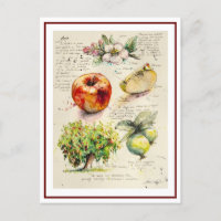 EVE Painted Illustration of Apple