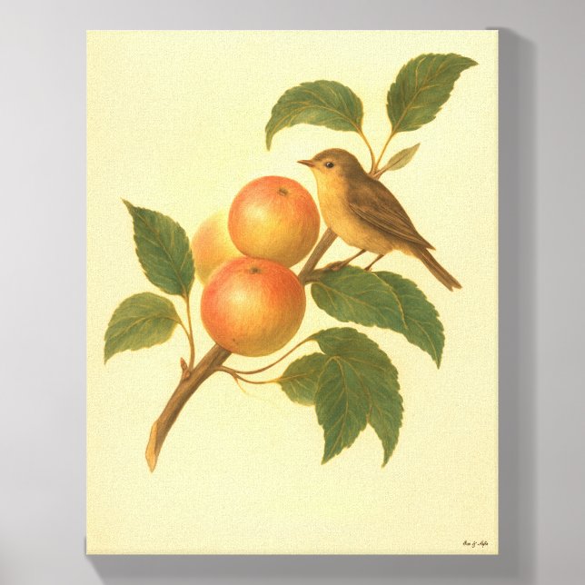 Eve & Sofie Apples with Bird Canvas Photo Tile (Front Set)