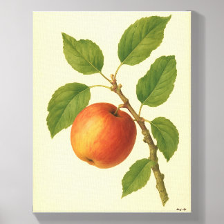 Eve & Sofie Red Apple Canvas Photo Tile
