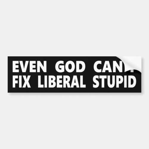 Even GOD Cant Fix Liberal Stupid Bumper Sticker