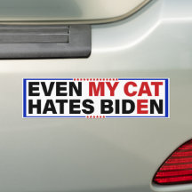 Bumper Stickers USED TO BE LIBERAL THEN I LEFT HOME AND GOT A JOBFunny Decal 