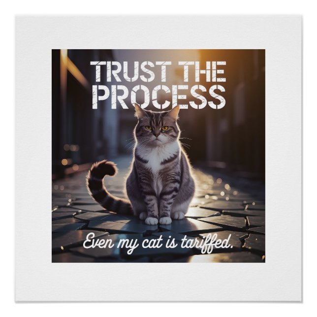 Even My Cat Is Tariffed - Trust The Process Poster (Front)