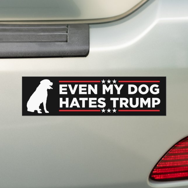 Even My Dog Hates Trump Bumper Sticker (On Car)