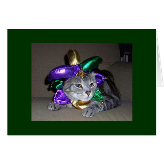 EVEN THE CAT IS CELEBRATING FOR "YOU" ARE "5O" (Front Horizontal)