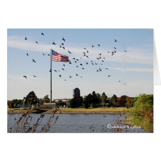 Even the ducks love the USA (Front Horizontal)