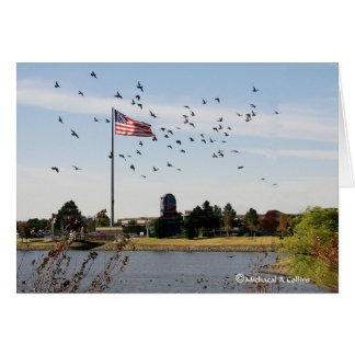 Even the ducks love the USA Cards