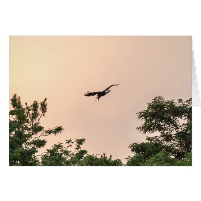 Evening Arrival Cards (Front Horizontal)