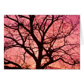 Evening Blush Tree Silhouette (Front Horizontal)