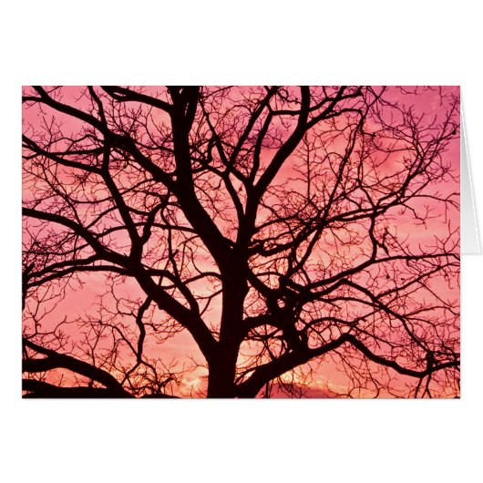 Evening Blush Tree Silhouette Cards (Front Horizontal)