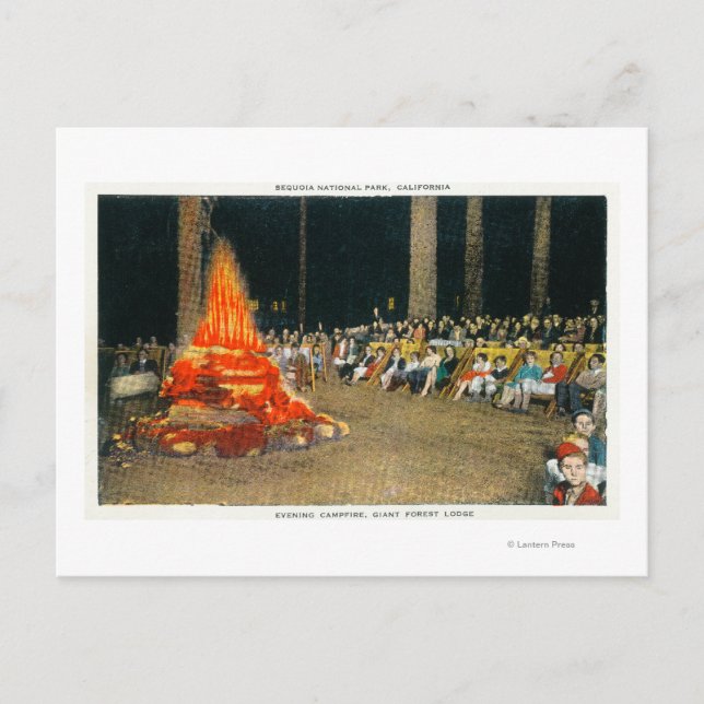 Evening Bonfire at Giant Forest Lodge Postcard (Front)