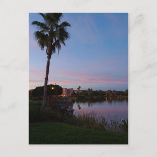 Evening By The Palm Tree Postcard