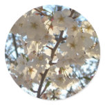 Evening Cherry Blossoms I Spring Floral Classic Round Sticker