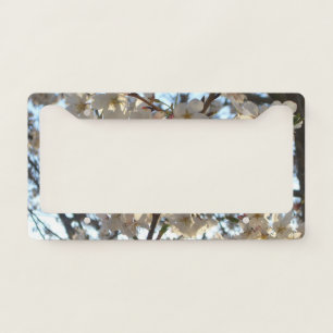 Evening Cherry Blossoms I Spring Floral License Plate Frame
