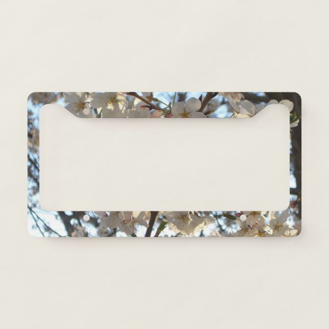 Evening Cherry Blossoms I Spring Floral License Plate Frame (Front)