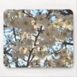 Evening Cherry Blossoms I Spring Floral Mouse Pad