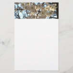 Evening Cherry Blossoms I Spring Floral Stationery