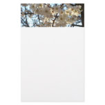 Evening Cherry Blossoms I Spring Floral Stationery