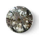 Evening Cherry Blossoms II Spring Sunset Button