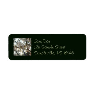 Evening Cherry Blossoms II Spring Sunset Label