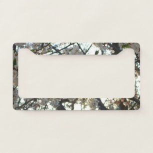 Evening Cherry Blossoms II Spring Sunset License Plate Frame