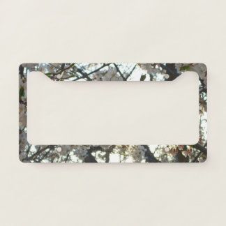 Evening Cherry Blossoms II Spring Sunset License Plate Frame