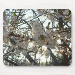 Evening Cherry Blossoms II Spring Sunset Mouse Pad