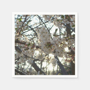 Evening Cherry Blossoms II Spring Sunset Napkins