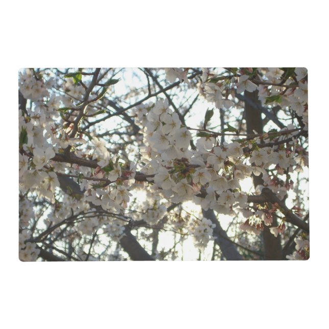 Evening Cherry Blossoms II Spring Sunset Placemat (Front)
