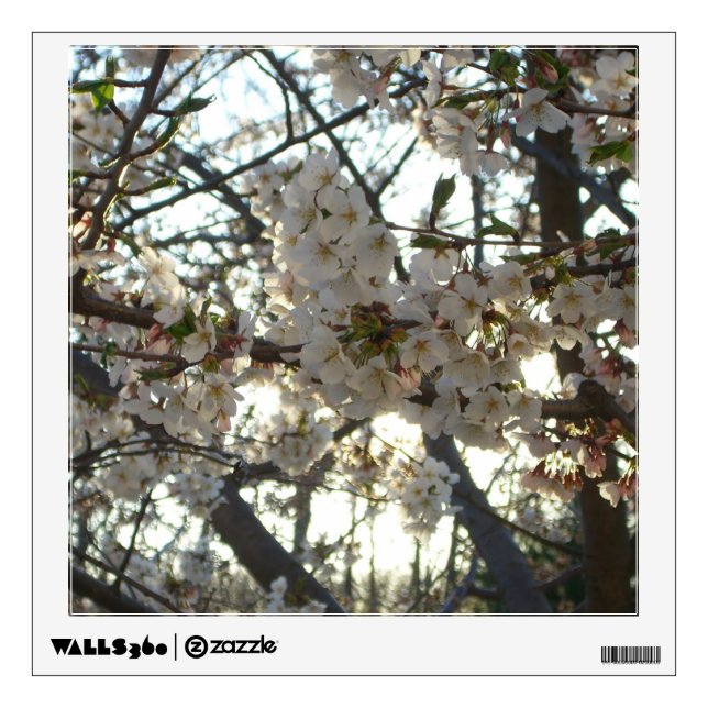 Evening Cherry Blossoms II Spring Sunset Wall Decal (Front)