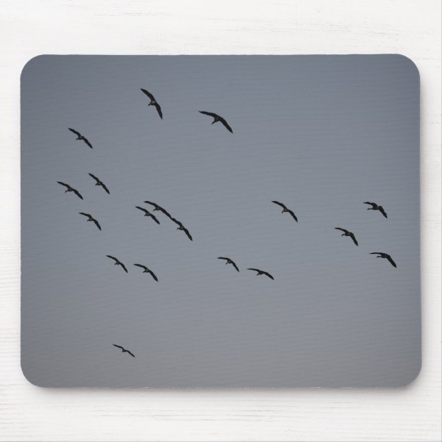 Evening Flight Mouse Pad (Front)
