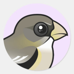 Evening Grosbeak female Round Sticker