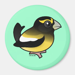 Evening Grosbeak male Round Magnet