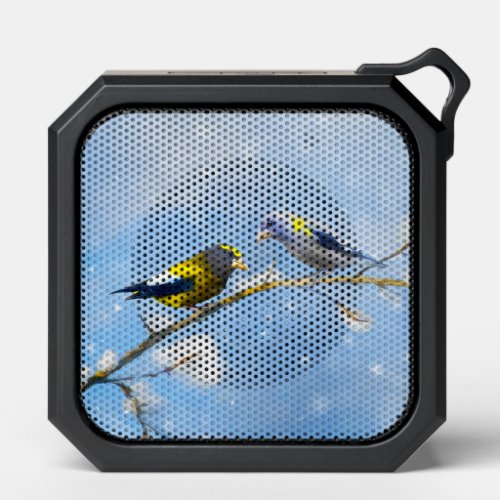 Evening Grosbeak Painting _ Cute Original Bird Art Bluetooth Speaker