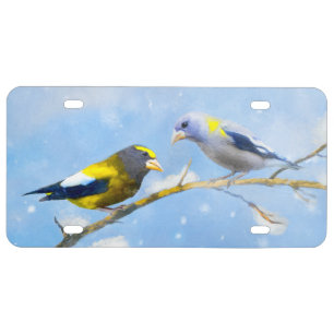 Evening Grosbeak Painting - Cute Original Dog Art License Plate