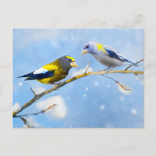 Evening Grosbeak Painting - Cute Original Dog Art Postcard (Front)