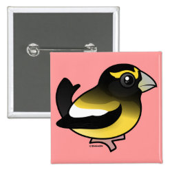 Evening Grosbeak male Square Button