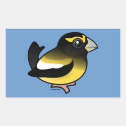 Evening Grosbeak male Rectangle Sticker