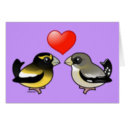 Evening Grosbeaks in love Greeting Card