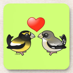 Evening Grosbeaks in love Beverage Coaster