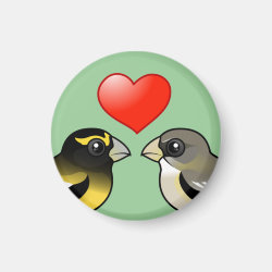 Evening Grosbeaks in love Round Magnet