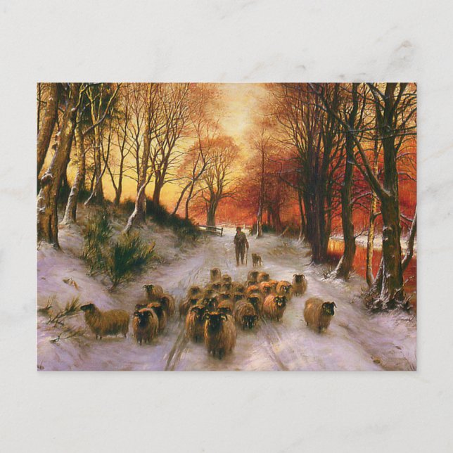 Evening Hours Postcard (Front)