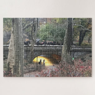 Evening in Central Park Bridge New York City NYC Jigsaw Puzzle