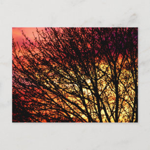 Evening Light Blank Notecard