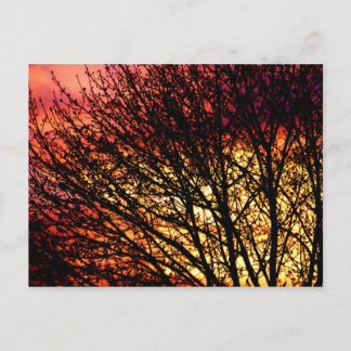 Evening Light Blank Notecard