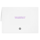 Evening light cards (Back Horizontal)