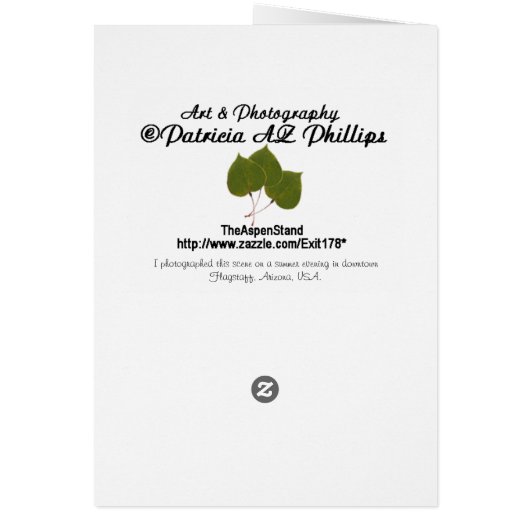 Evening Light on Bicycle Photograph (Back)