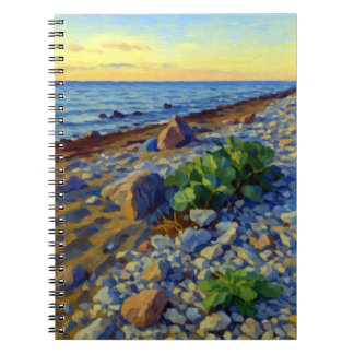Evening light on the coast of Vormsi Notebook